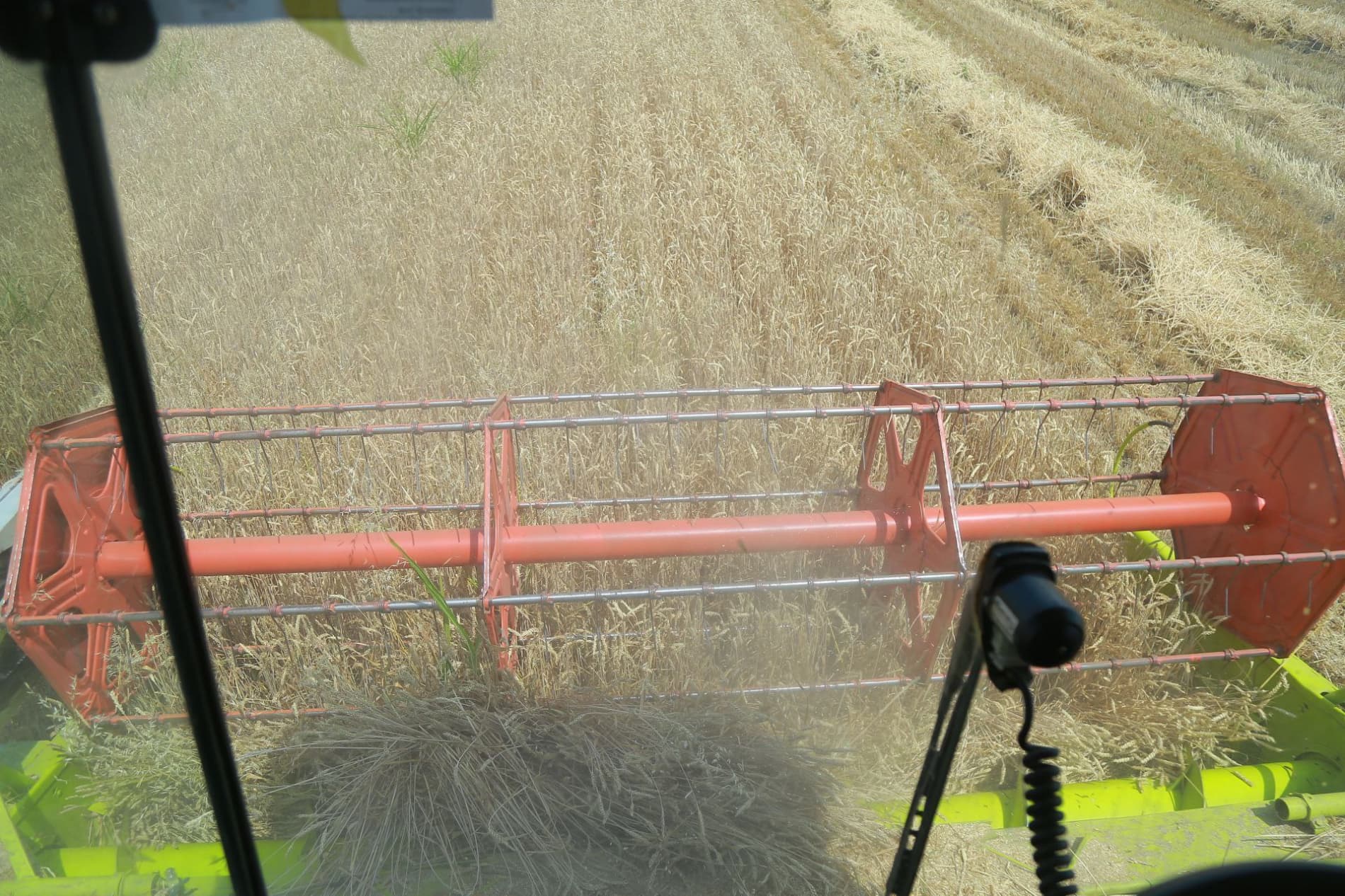 В Чартаке быстрыми темпами продолжается уборка урожая зерновых