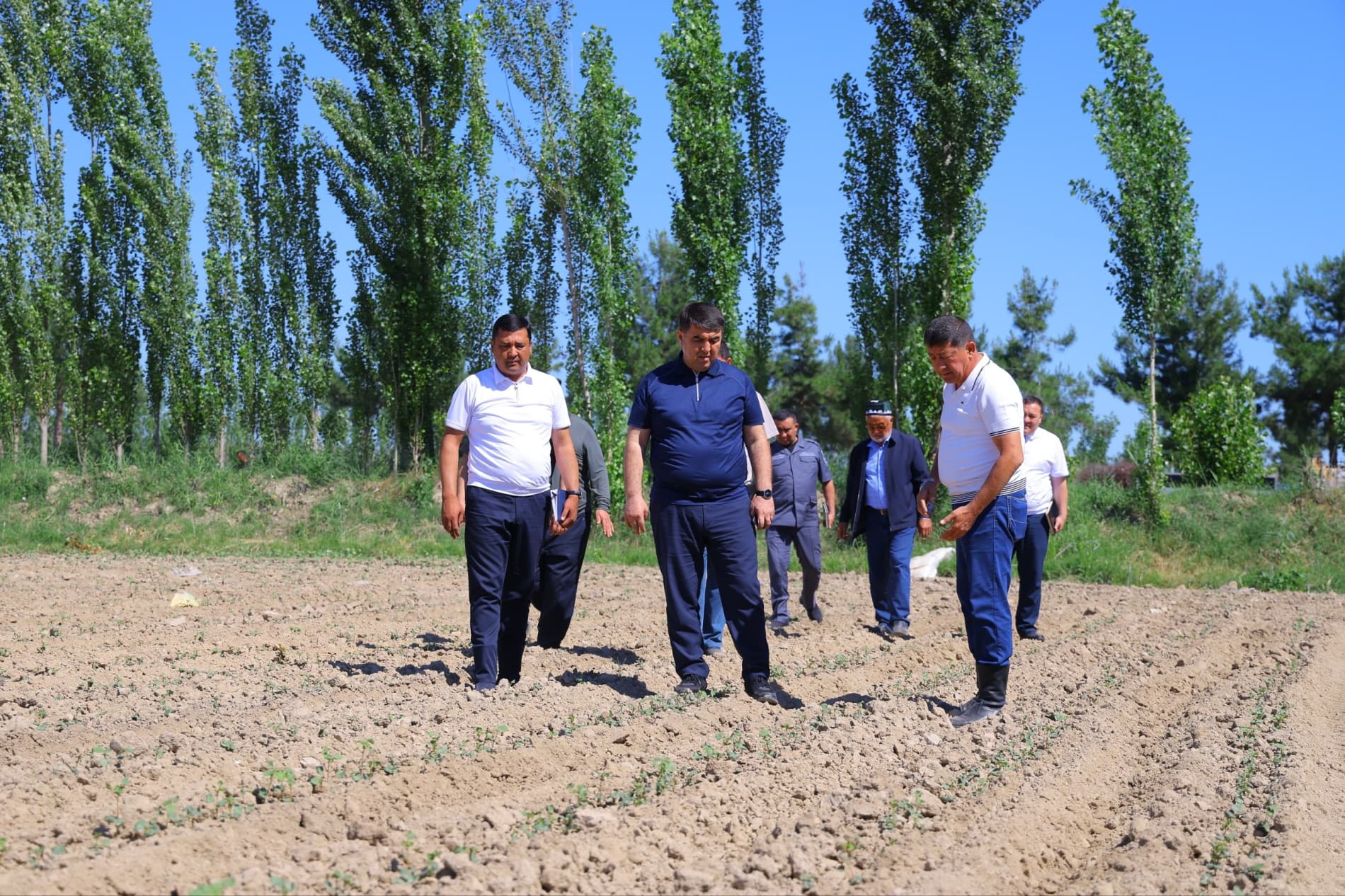 Hosil taqdiri — agrotexnik tadbirlar sifatiga bogʻliq