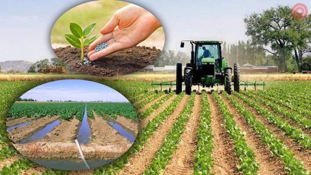 Presidential Decree "On additional measures to increase the efficiency of land use in agriculture and increase the volume of production"