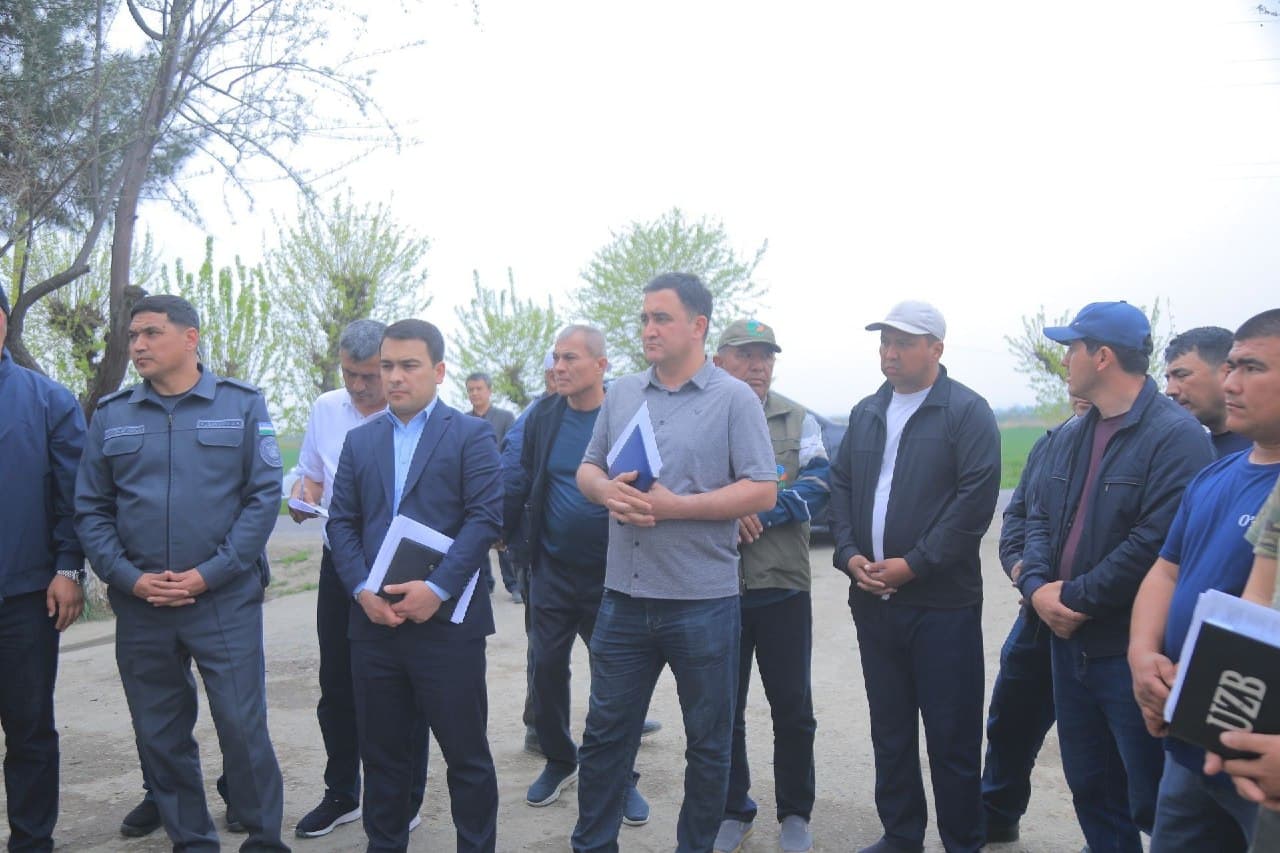 SEED SOWING IS BEING ACCELERATED