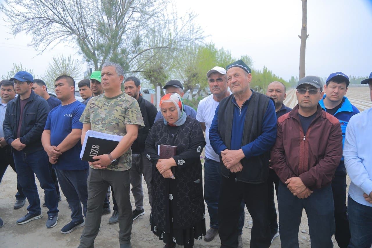 SEED SOWING IS BEING ACCELERATED