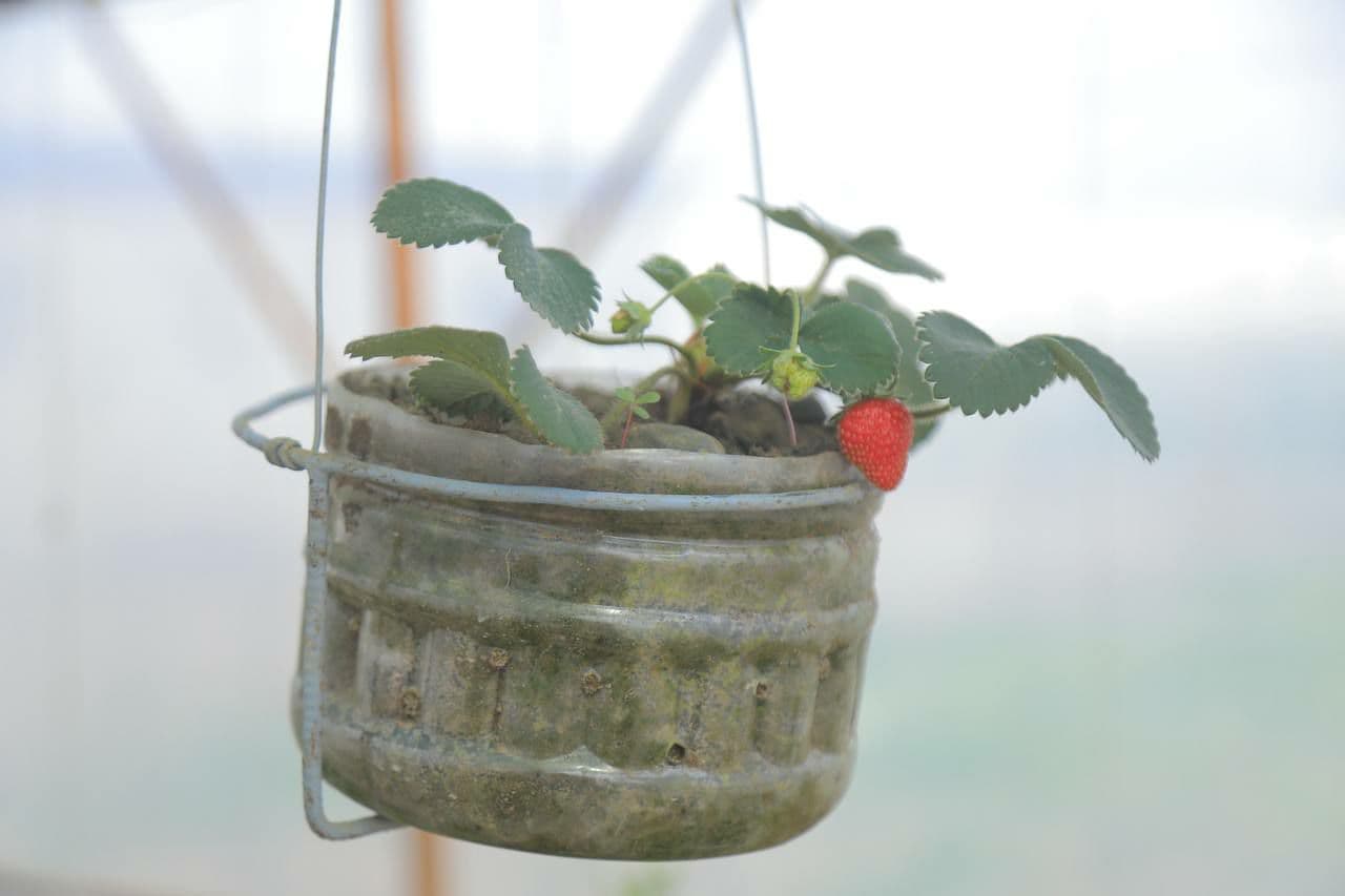 THE PATH TO THE HUMAN HEART