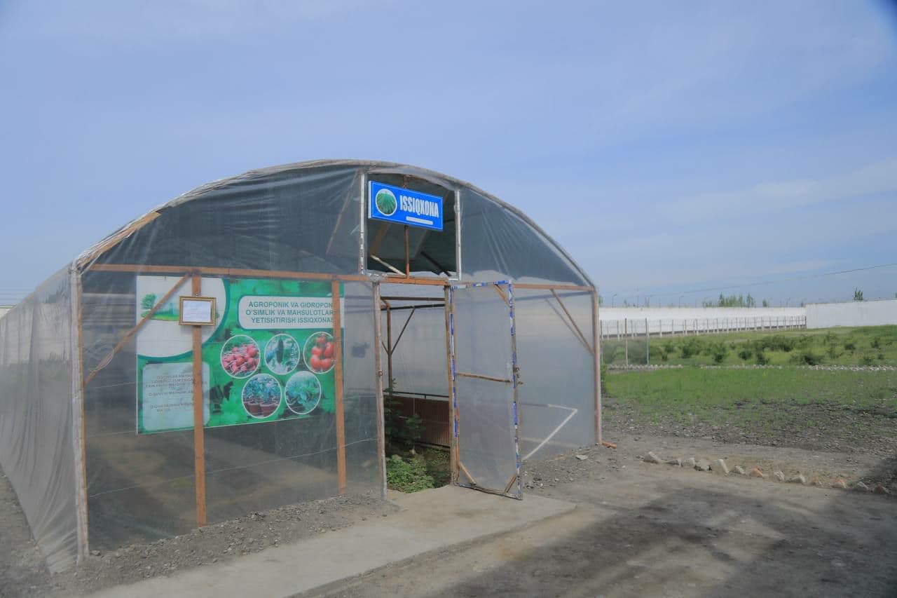 THE PATH TO THE HUMAN HEART