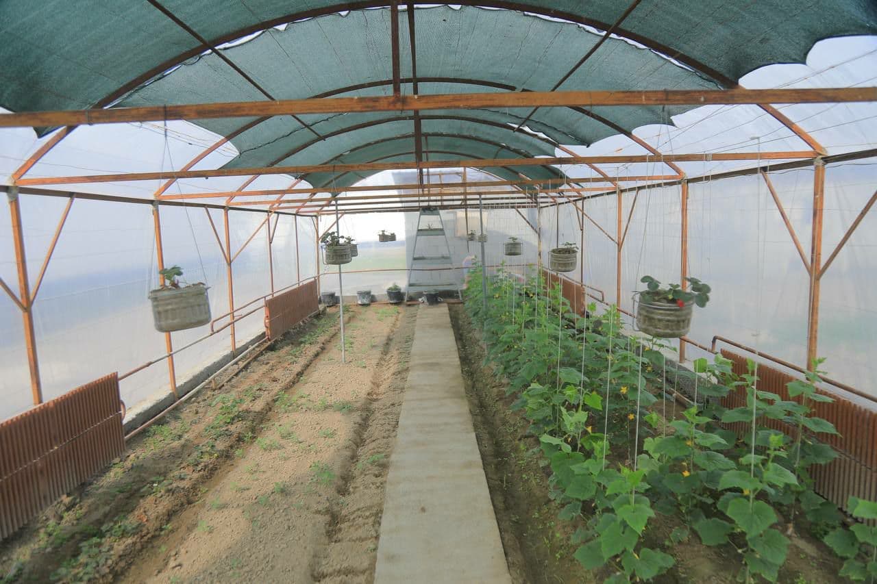 THE PATH TO THE HUMAN HEART