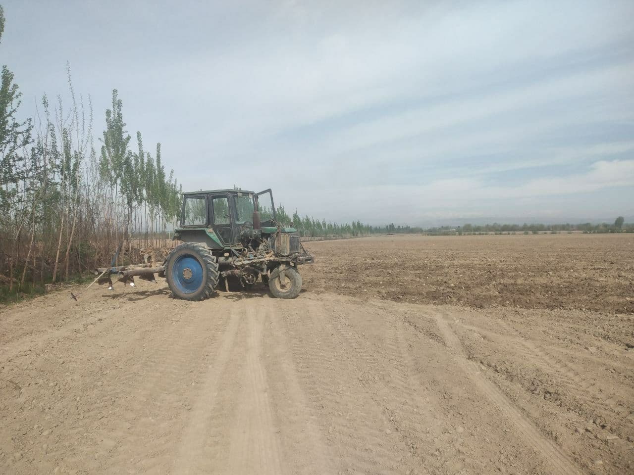 Уйчи туманида баҳорги агротехник ишлар уюшқоқлик билан олиб борилмоқда.