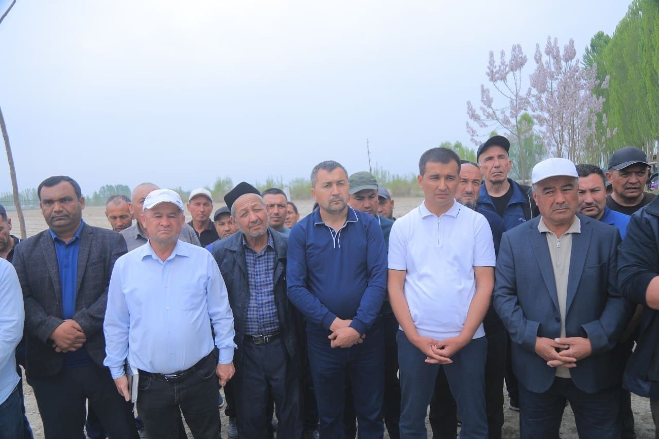 SEED SOWING IS BEING ACCELERATED