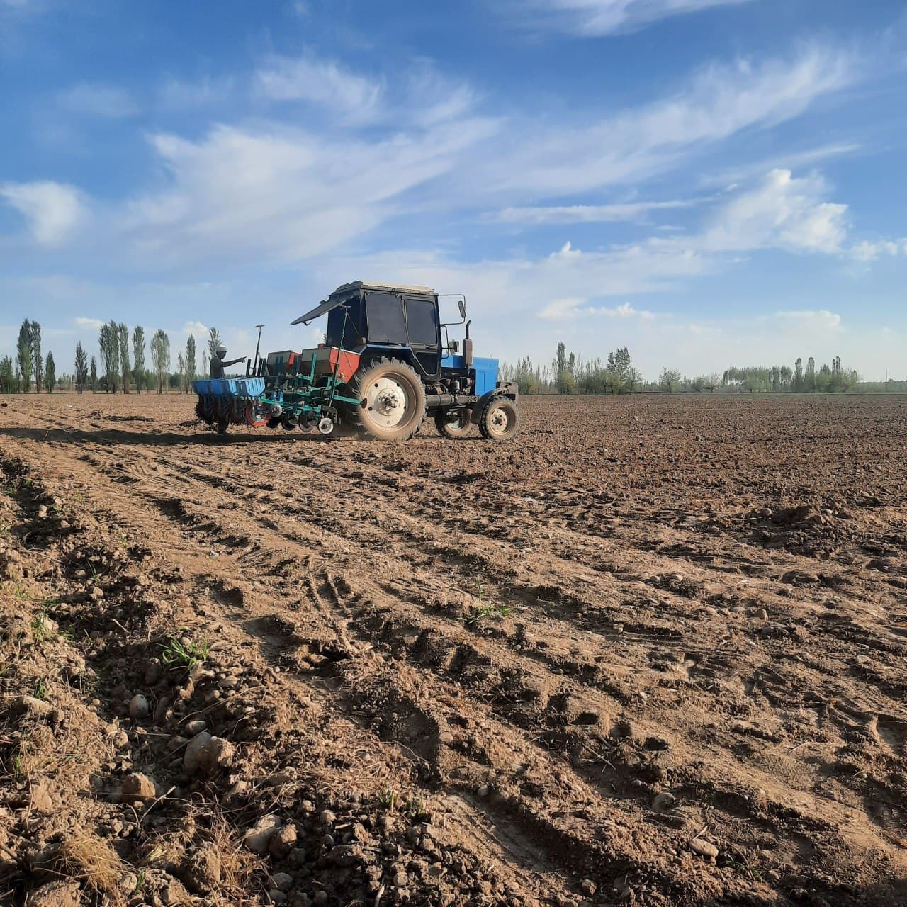 Уйчи туманида баҳорги агротехник ишлар уюшқоқлик билан олиб борилмоқда.