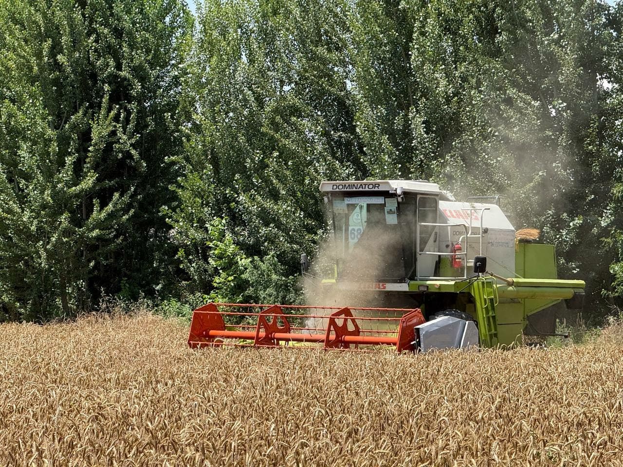 🌾 МЕҲНАТ БАРАКАСИ — ДАЛАДА
