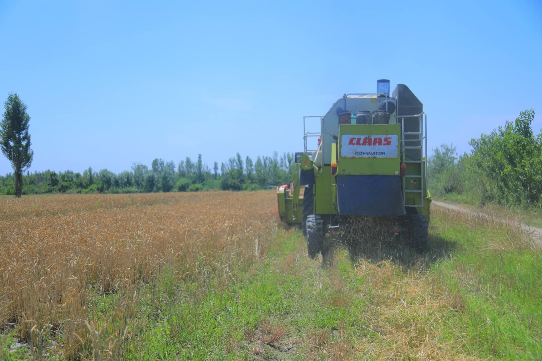 🌾 МЕҲНАТ БАРАКАСИ — ДАЛАДА