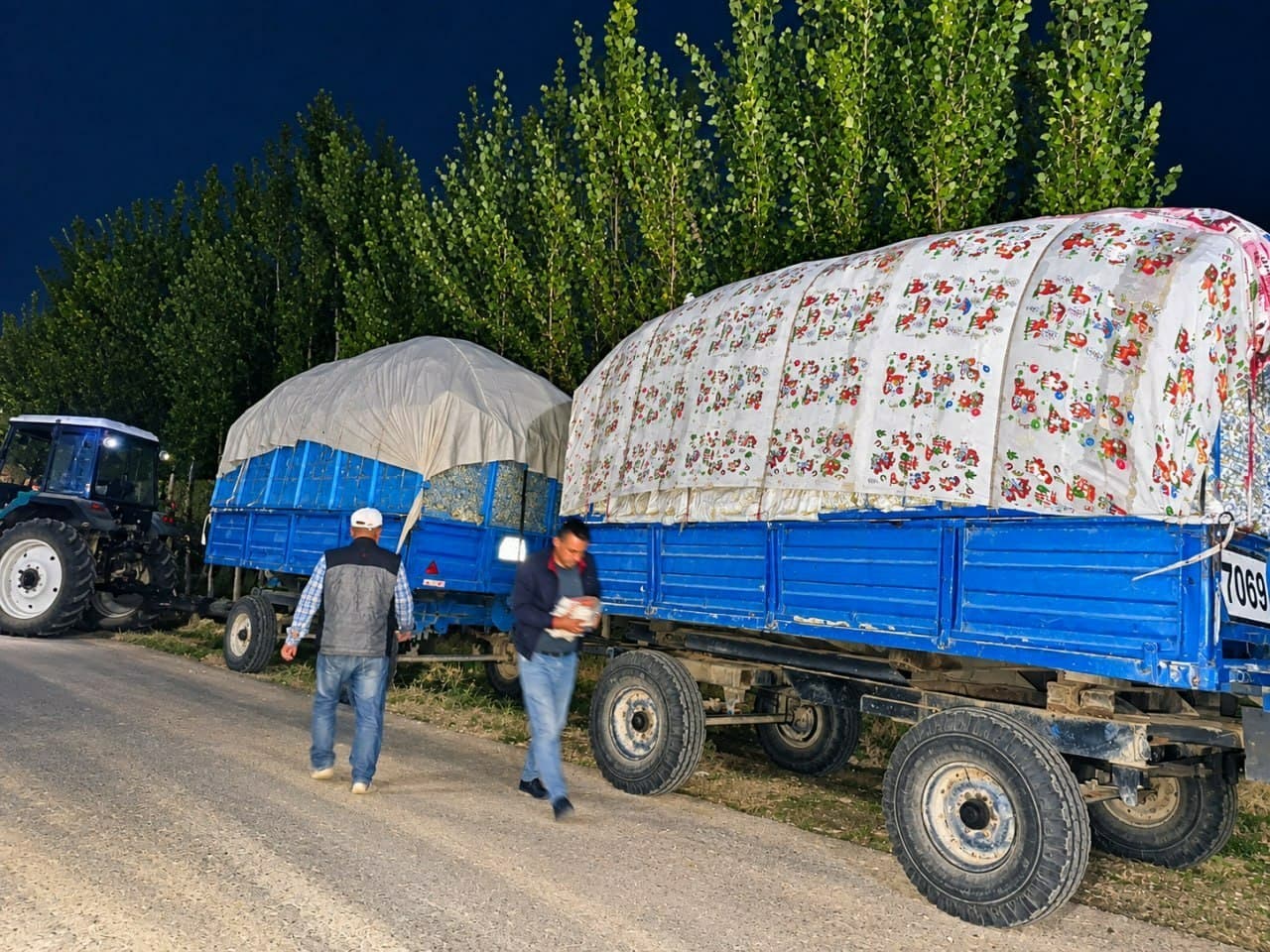 Tunda ham paxta terimi qizg‘in davom etmoqda