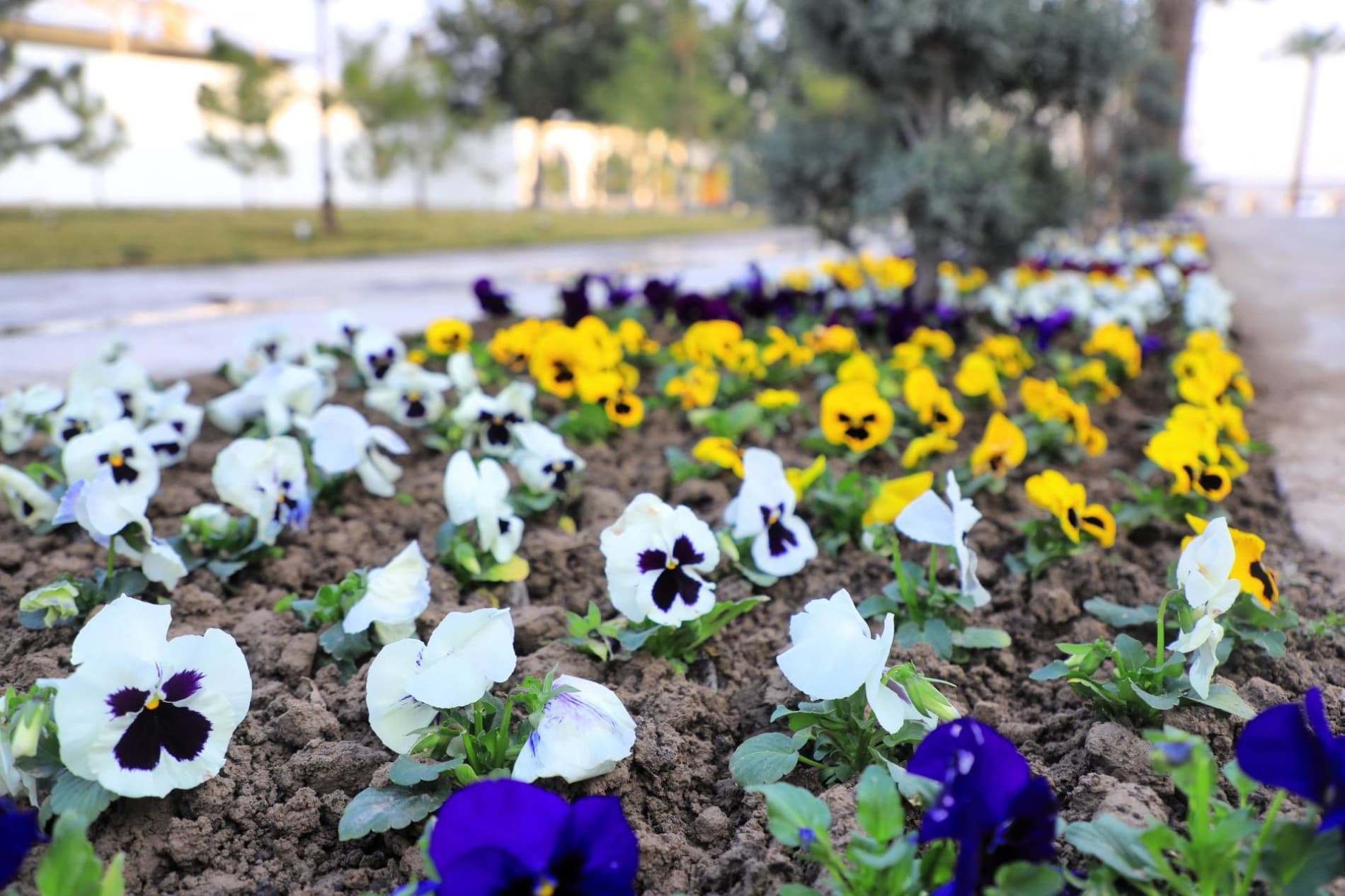 Muqaddas Ramazon nafasi — Kichik Xo‘jaobod jome masjidida o‘zgacha tarovat