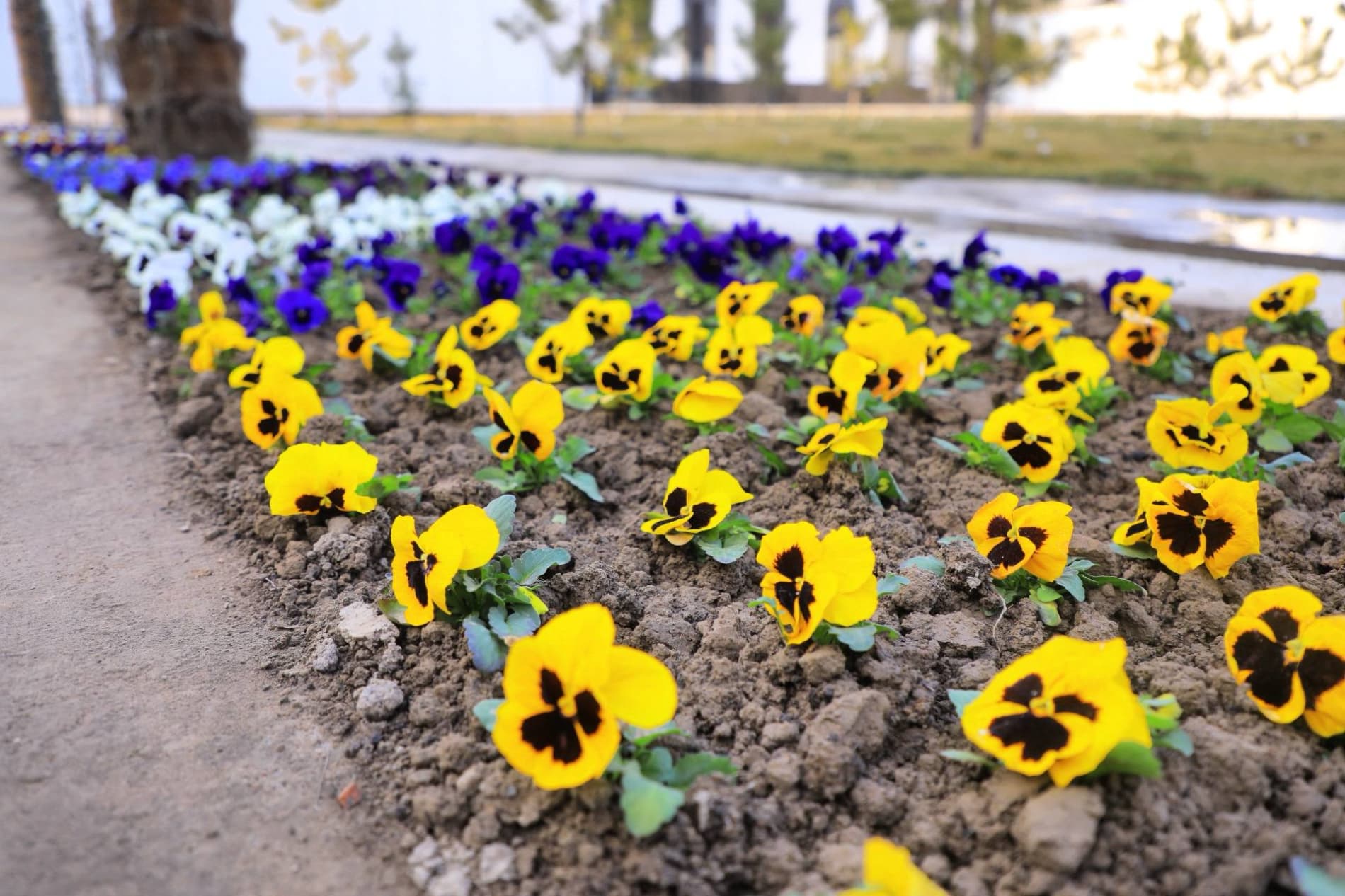 Muqaddas Ramazon nafasi — Kichik Xo‘jaobod jome masjidida o‘zgacha tarovat