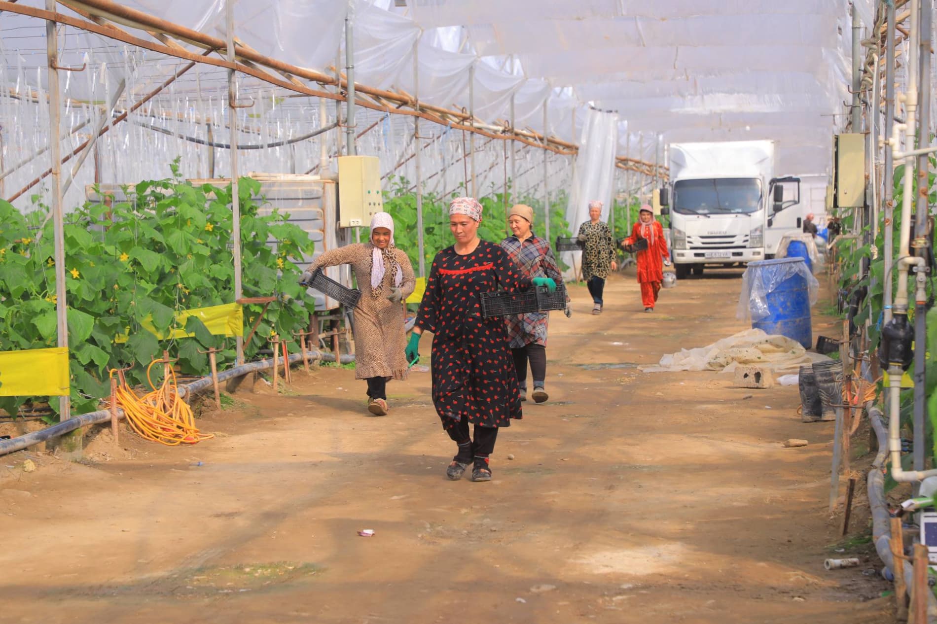 Eksport salohiyatini oshirish — ustuvor vazifa