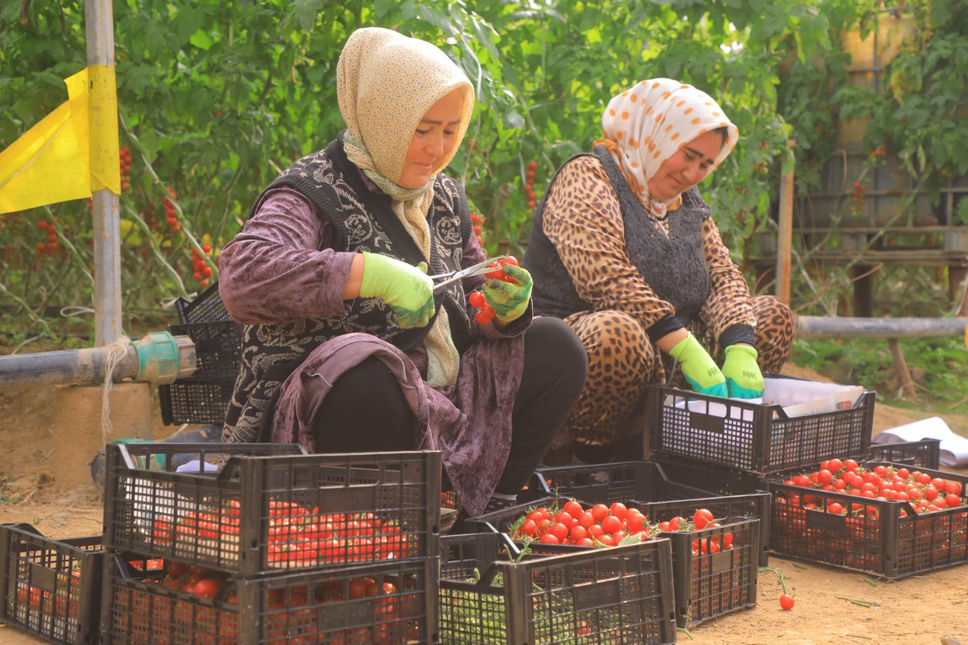 Eksport salohiyatini oshirish — ustuvor vazifa