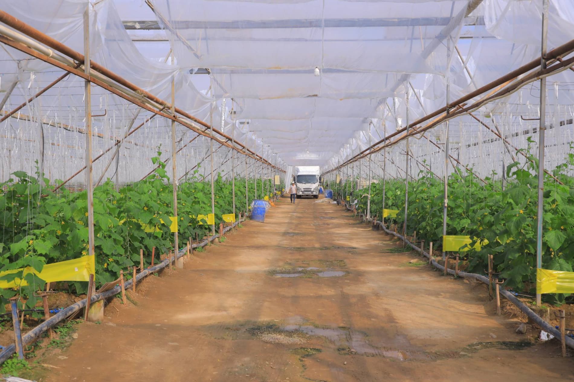 Eksport salohiyatini oshirish — ustuvor vazifa