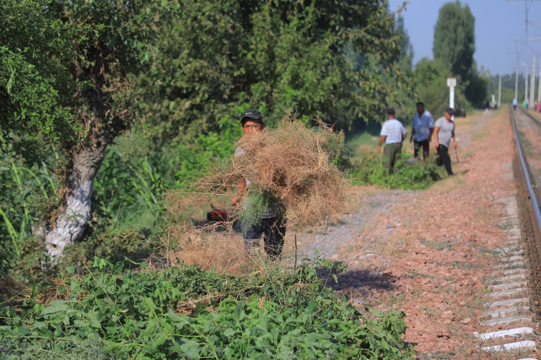 Temir yo‘l atroflari obod va xavfsiz hududga aylanmoqda
