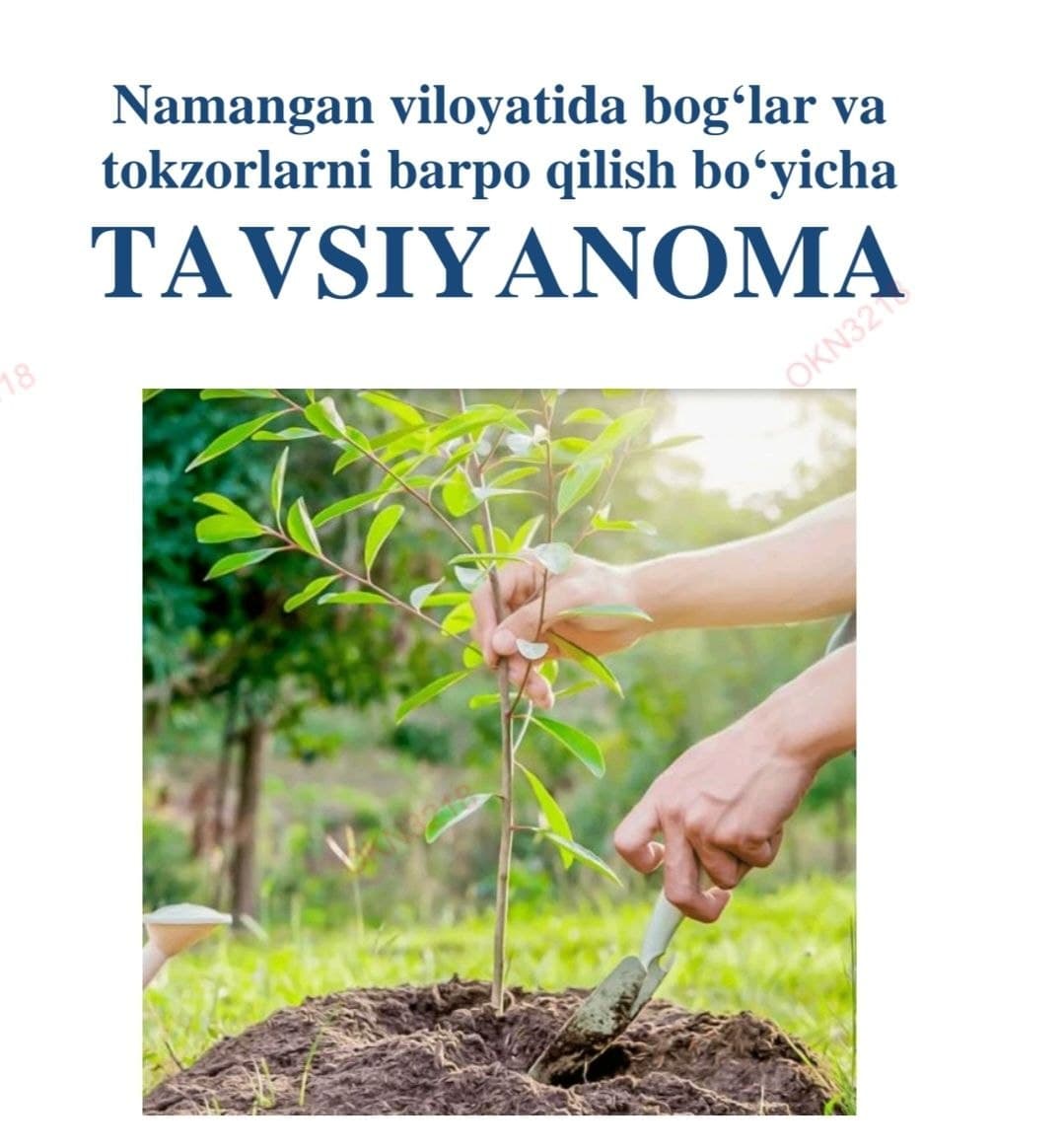Namangan viloyatida bog‘lar va tokzorlarni barpo qilish bo‘yicha TAVSIYАNOMA