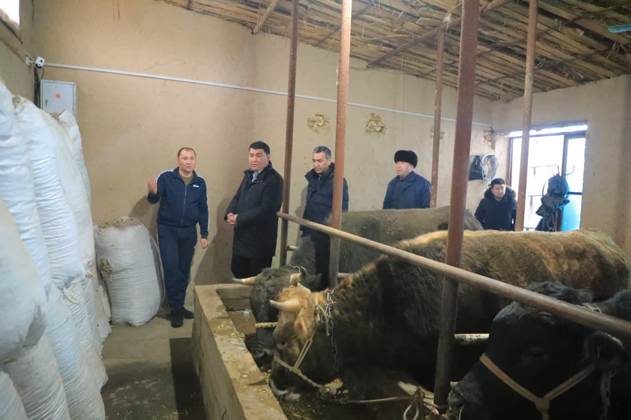 The Address in the Spotlight of the People