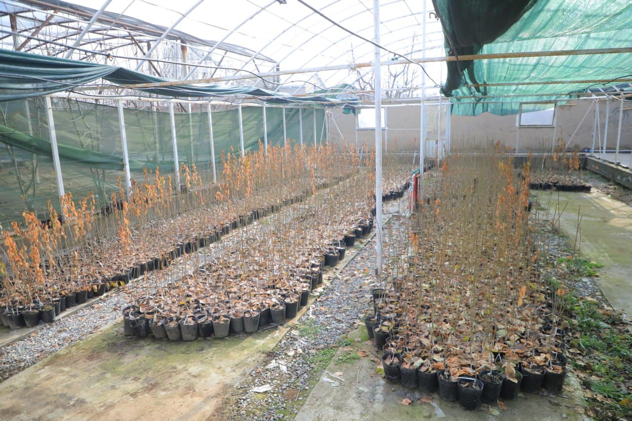 The Address was studied in the Urda Mahalla