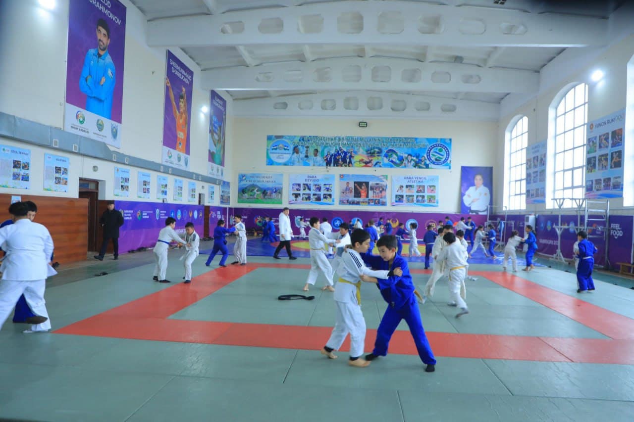 Results and Plans in the Field of Sports