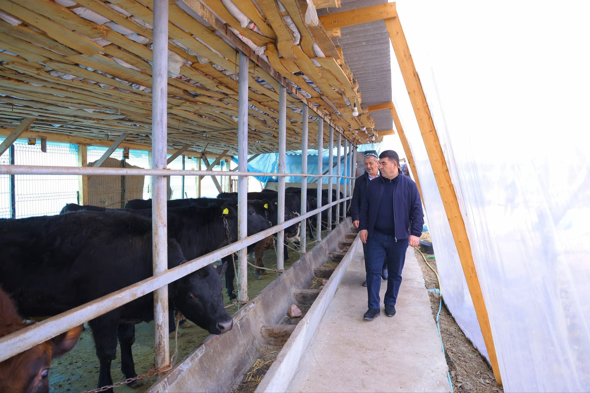 Научный подход в сельском хозяйстве — основа успеха