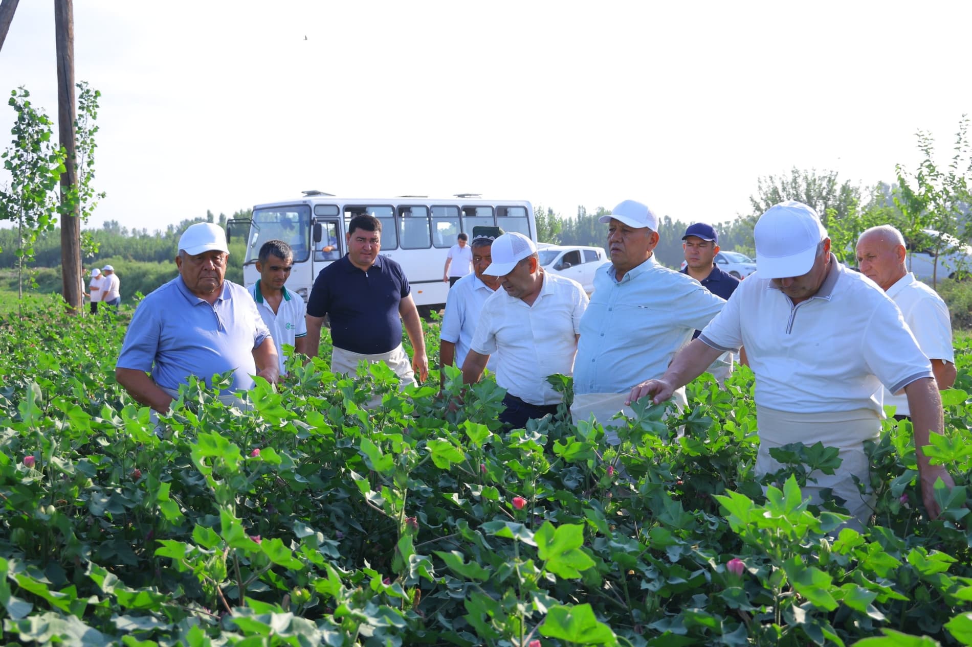 Dolzarb 30 kunlik – hosil toʻplashga katta imkoniyat