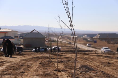 Dehqonobodda “Mening bogʻim” loyihasi doirasida zamonaviy yashil maskan barpo etilmoqda