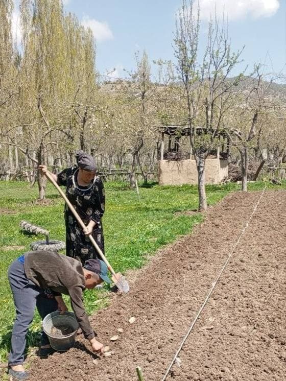 Istiqlol va Sarchashma mahallalarida bahorgi ishlar uyushqoqlik bilan olib borilmoqda