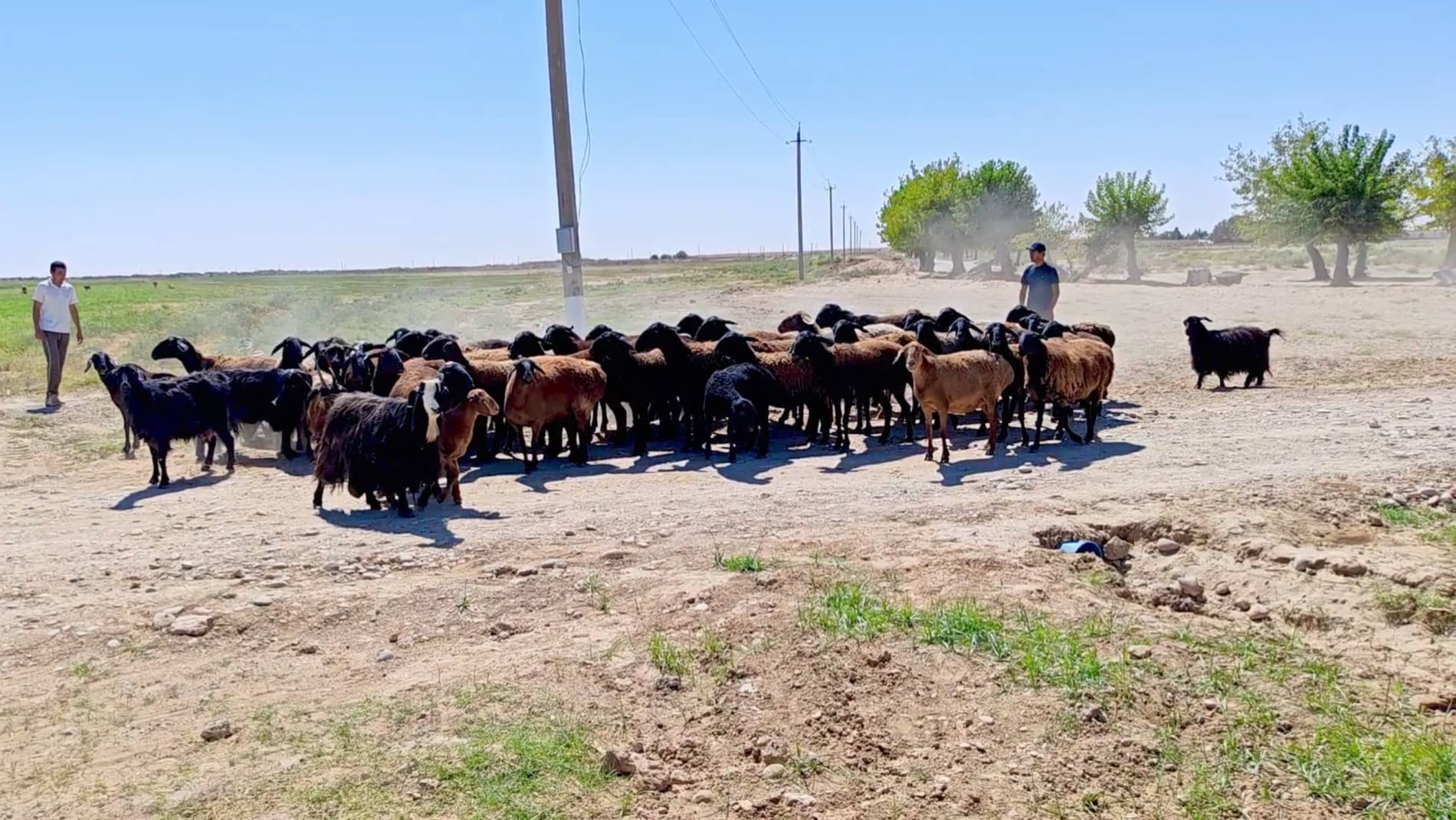 Nishon tumanida bitiruvchi hamda migratsiyadan qaytgan yoshlar bandligini ta’minlash, ularni tadbirkorlik va daromadli faoliyatga jalb etish bo‘yicha amaliy seminar o‘tkazildi.