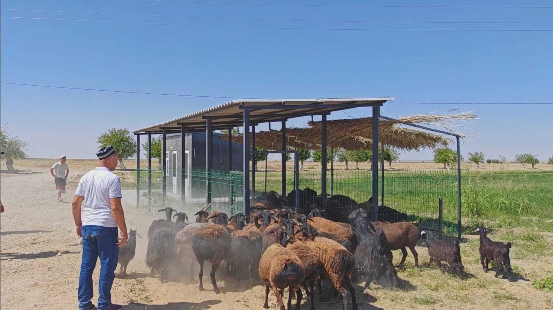 Nishon tumanida bitiruvchi hamda migratsiyadan qaytgan yoshlar bandligini ta’minlash, ularni tadbirkorlik va daromadli faoliyatga jalb etish bo‘yicha amaliy seminar o‘tkazildi.