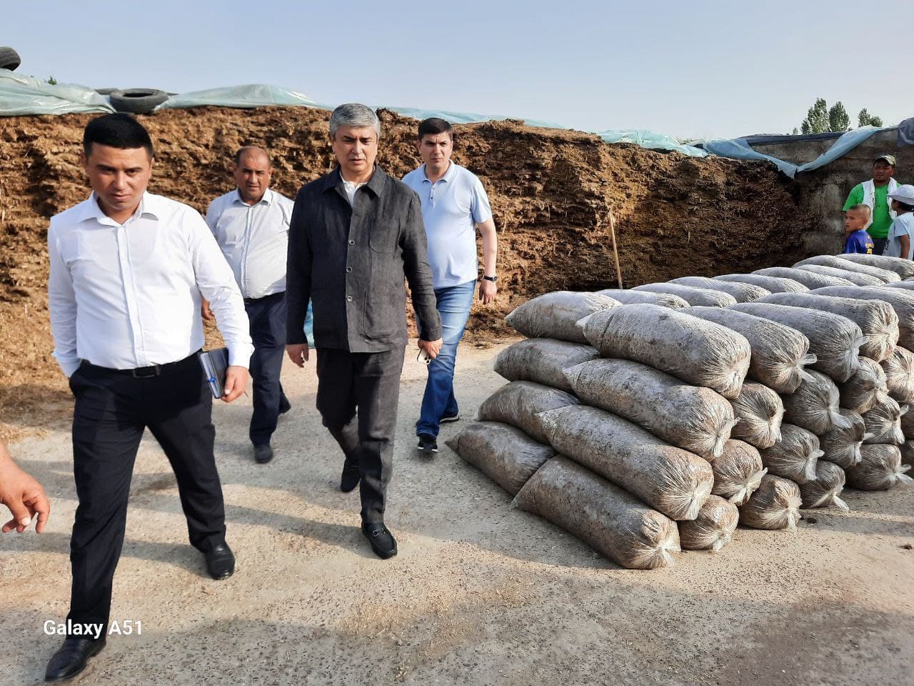 Monitoring of the implementation of the President's decrees was carried out.
