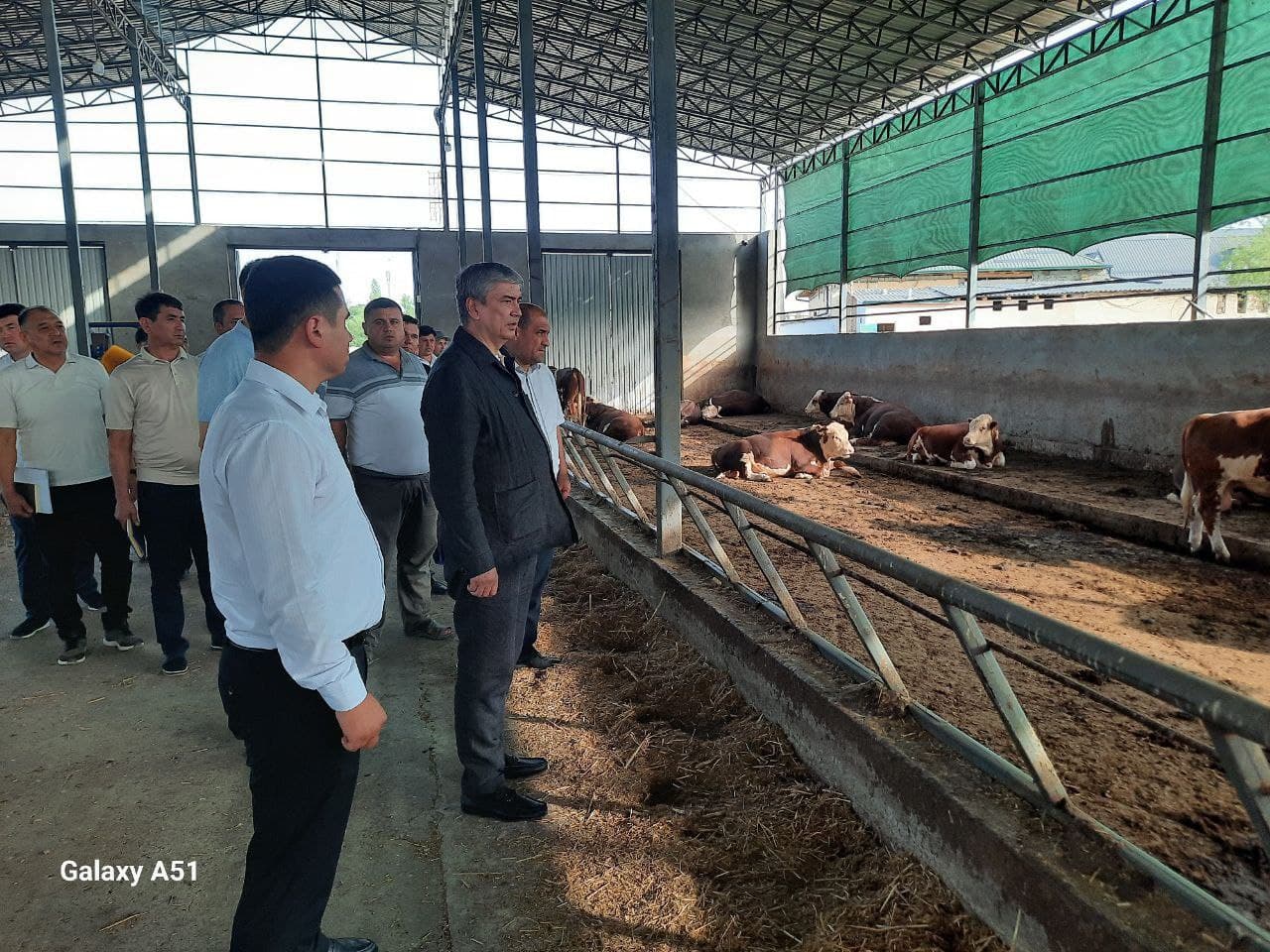 Monitoring of the implementation of the President's decrees was carried out.