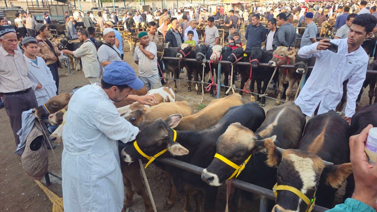 "Preventive measures against the disease were carried out."