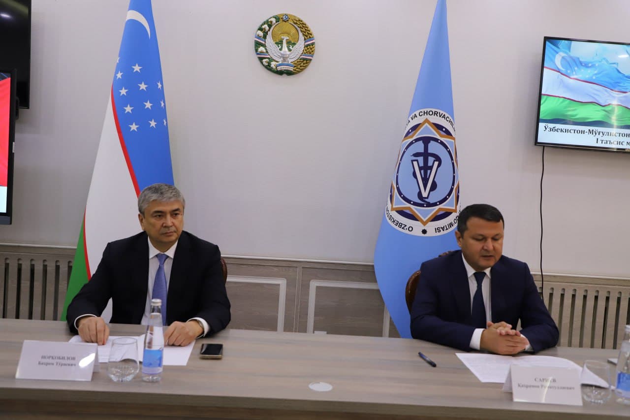 Bahrom Norqobilov was elected as the Chairman of the Uzbekistan–Mongolia Friendship Society.