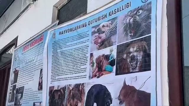 Была обсуждена профилактика инфекционных заболеваний