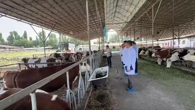 Была обсуждена профилактика инфекционных заболеваний