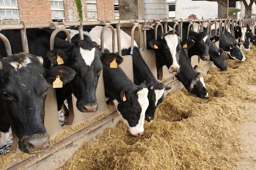 Янги лойиҳалар иқтисодиётнинг драйверига айланмоқда