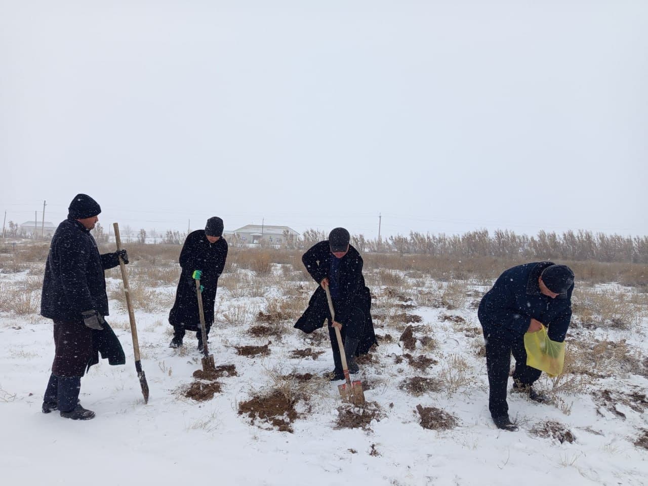Tadqiqotlar davom etmoqda. Qorako‘lchilik va cho‘l ekologiyasi ilmiy-tadqiqot institutining tajriba dalalarida cho‘l ozuqabop o‘simliklar ustidagi tadqiqotlar jarayonlari to‘xtagani yo‘q.