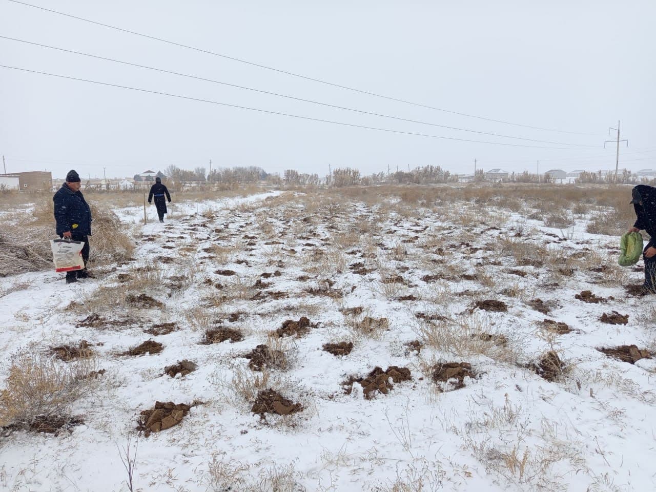 Tadqiqotlar davom etmoqda. Qorako‘lchilik va cho‘l ekologiyasi ilmiy-tadqiqot institutining tajriba dalalarida cho‘l ozuqabop o‘simliklar ustidagi tadqiqotlar jarayonlari to‘xtagani yo‘q.