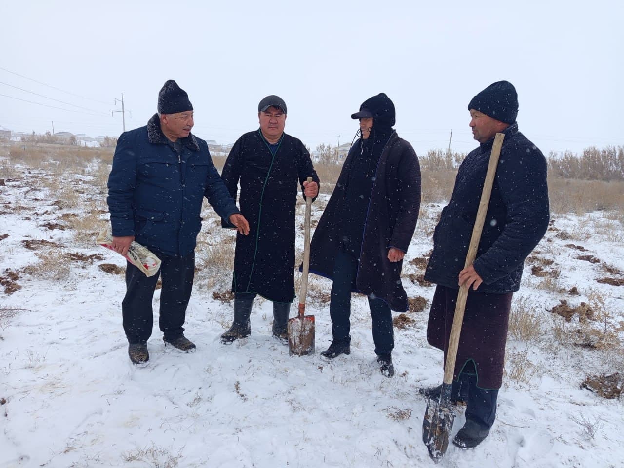 Tadqiqotlar davom etmoqda. Qorako‘lchilik va cho‘l ekologiyasi ilmiy-tadqiqot institutining tajriba dalalarida cho‘l ozuqabop o‘simliklar ustidagi tadqiqotlar jarayonlari to‘xtagani yo‘q.