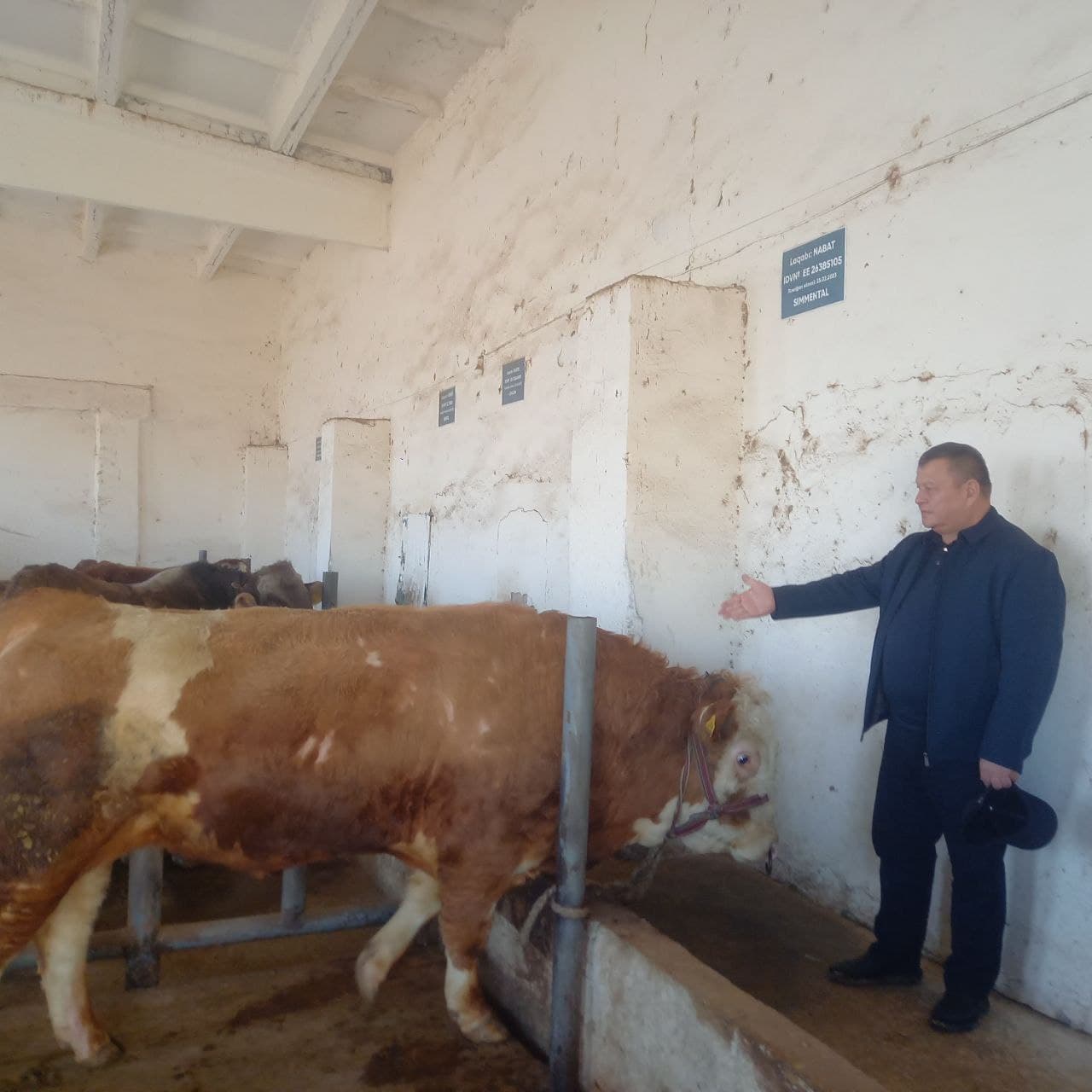 Nazorat tadbirlari muhokama qilindi