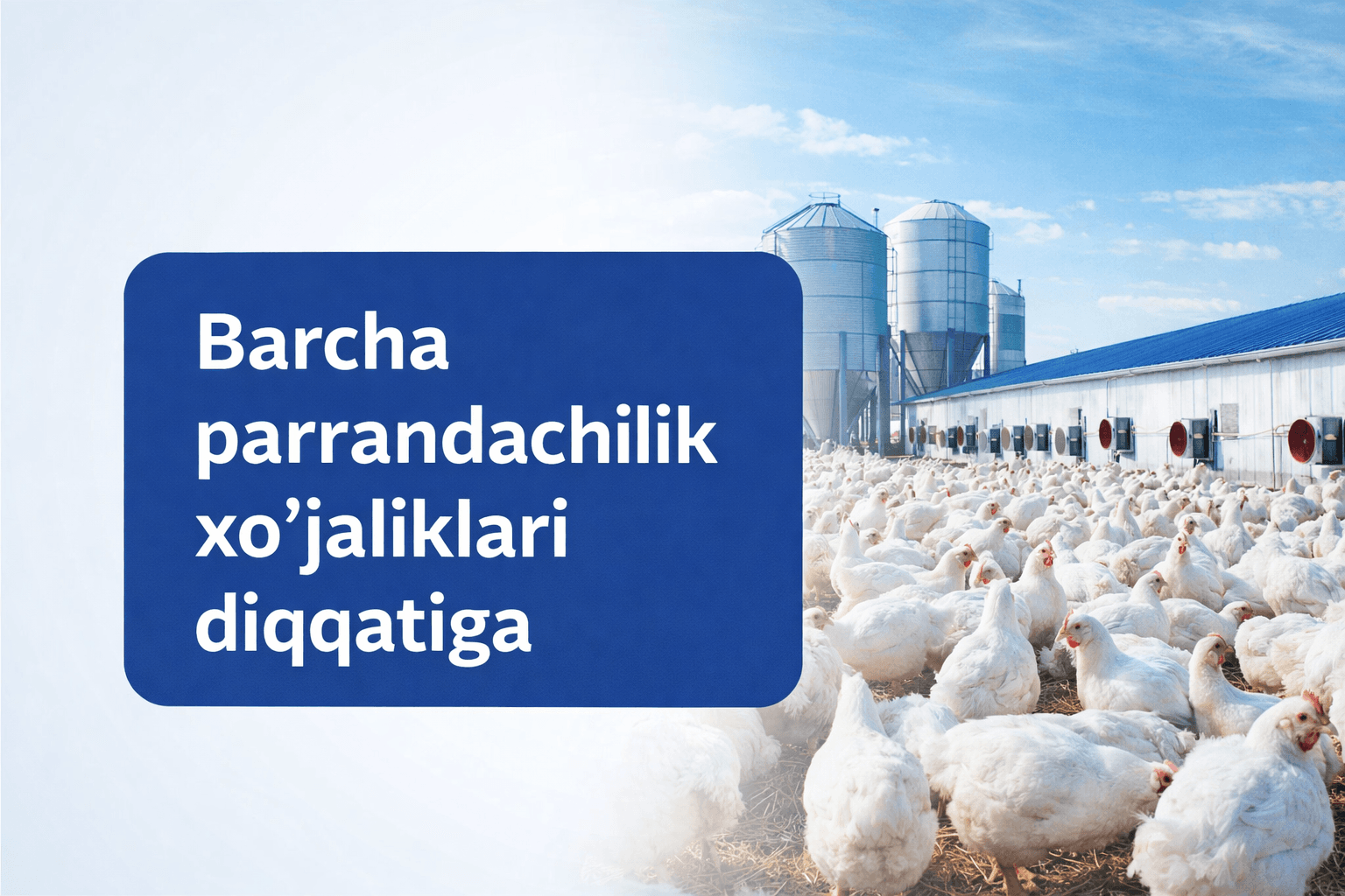 Паррандачилик хўжаликлари диққатига!