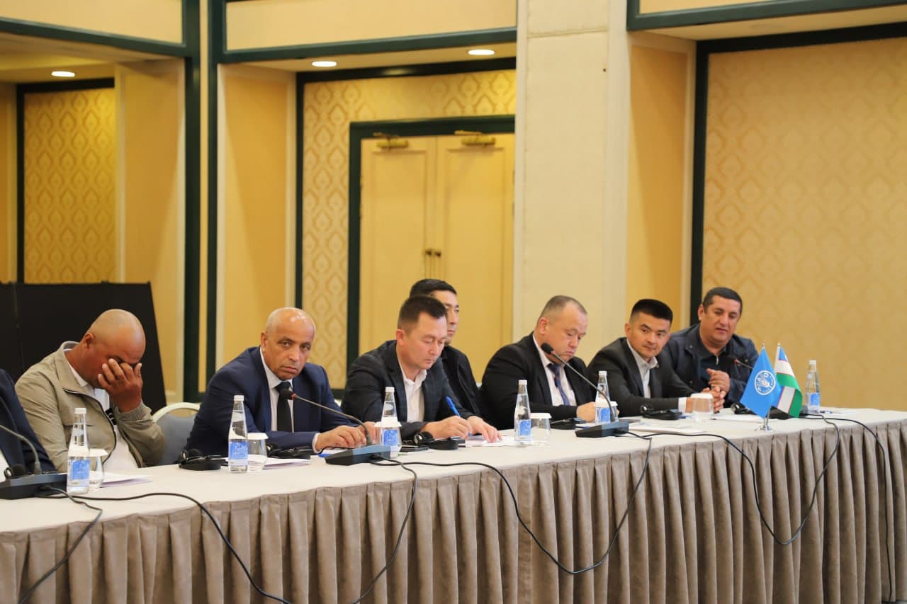 International dialogue ensures the effectiveness of practical activities