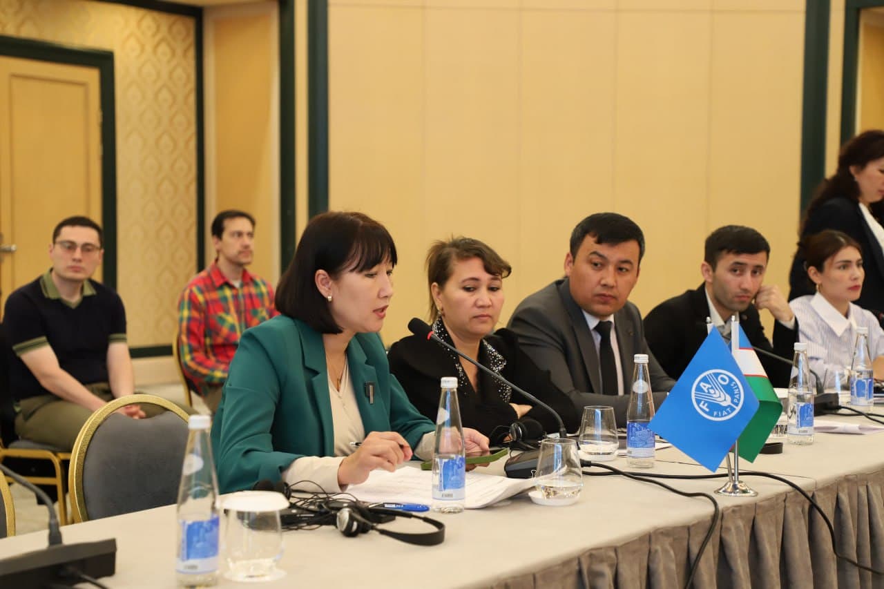 International dialogue ensures the effectiveness of practical activities
