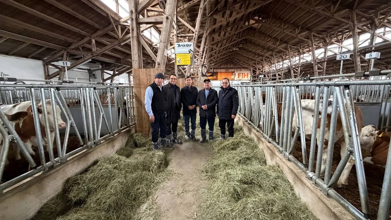 Сотрудничество в сфере животноводства с Германией и Австрией укрепляется.