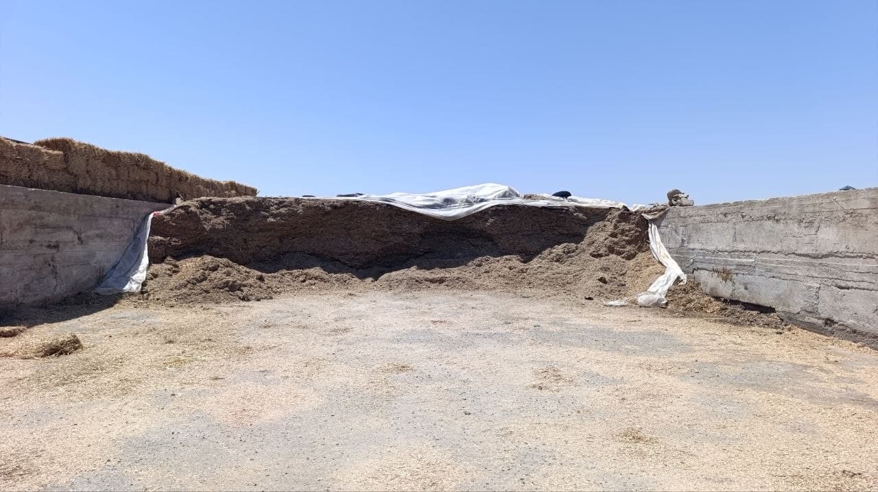 Samarqand viloyati chorvachilik subyektlarida "Dolzarb 40 kunlik"