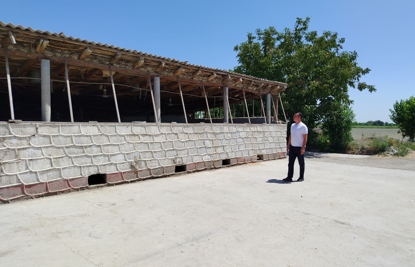 Navoiydagi chorvachilik subyektlarida "Dolzarb 40 kunlik"