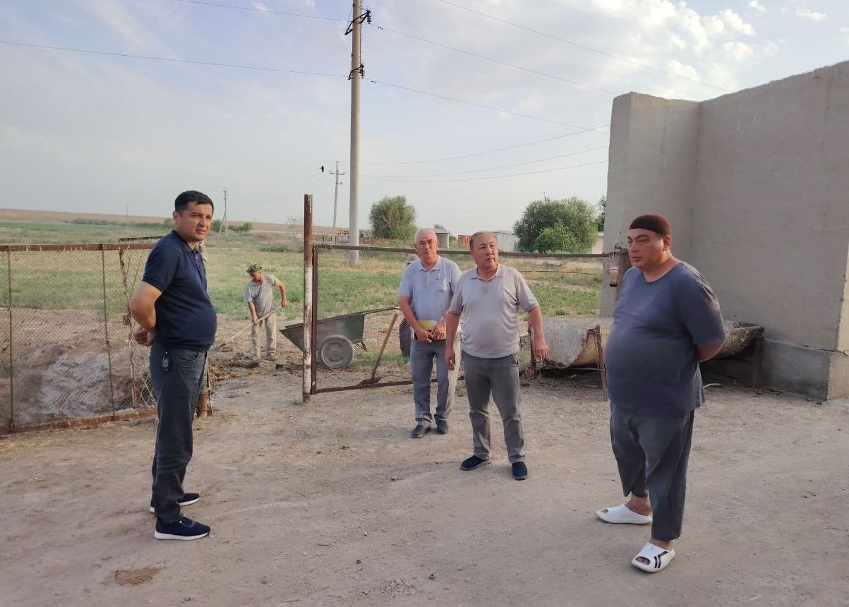 Navoiydagi chorvachilik subyektlarida "Dolzarb 40 kunlik"