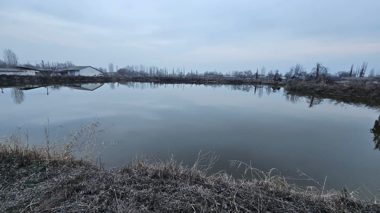 Toshkent viloyati,O‘rta Chirchiqda sug‘oriladigan yer maydonidan noqonuniy foydalanish holati aniqlandi