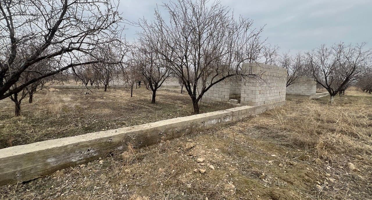 Yer nazorati tadbirlari davom etmoqda